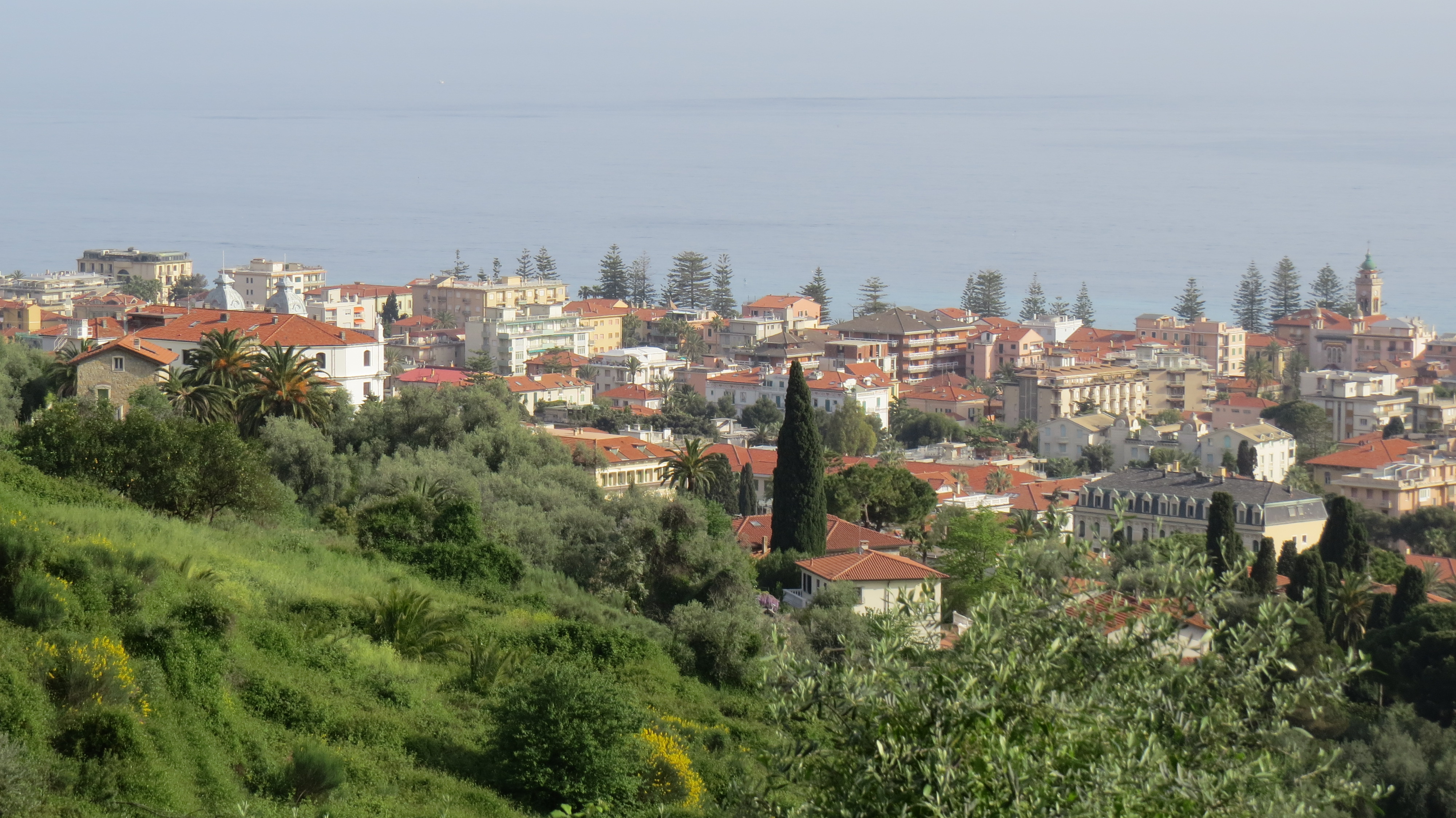 Bordighera, panorama