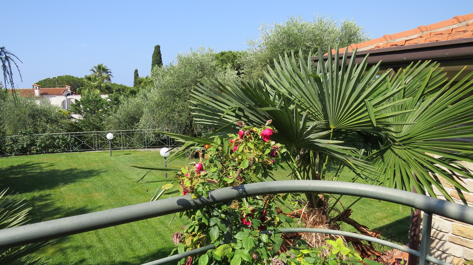 Il prato su tre lati della villetta