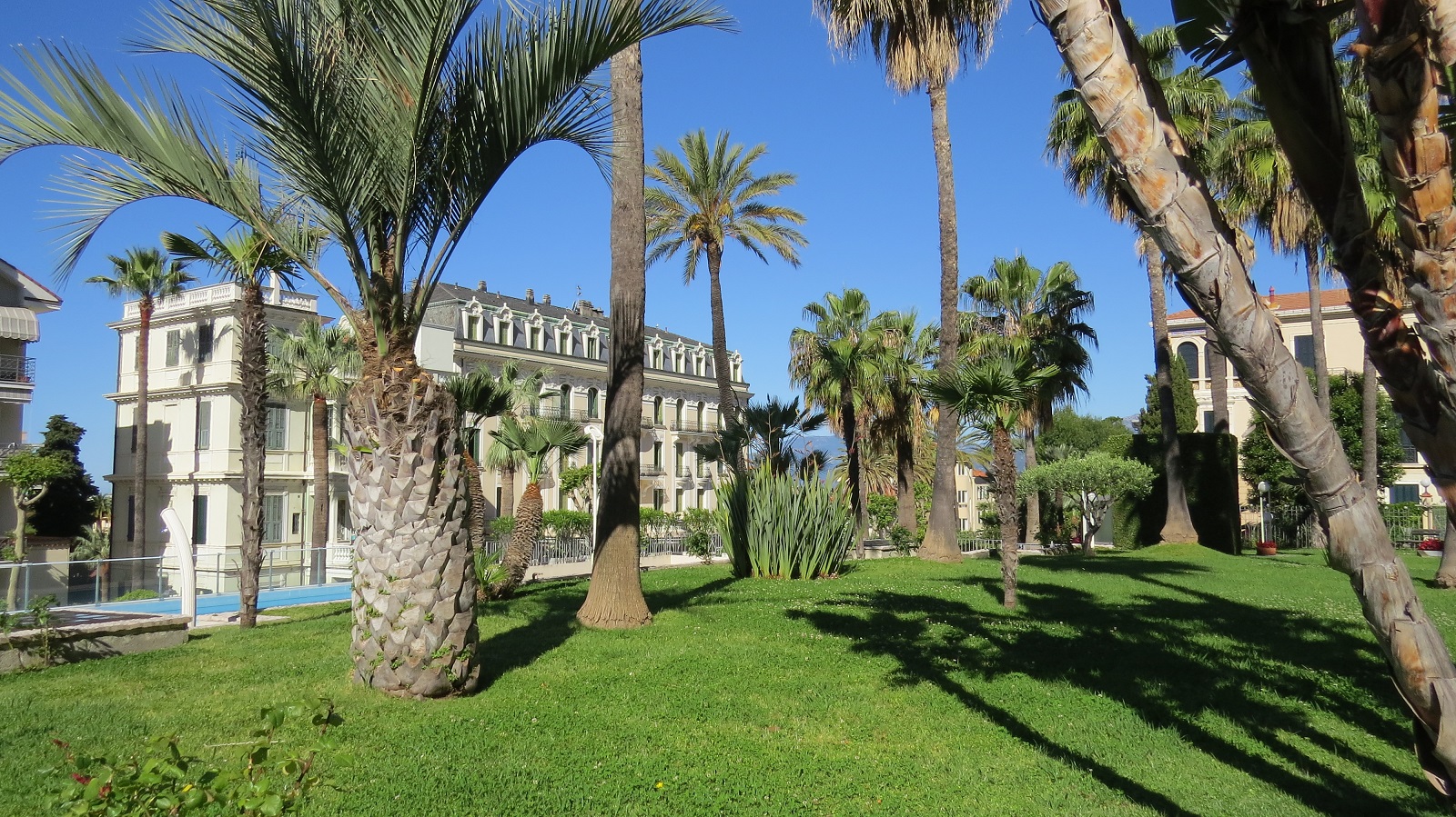 Il giardino e la piscina