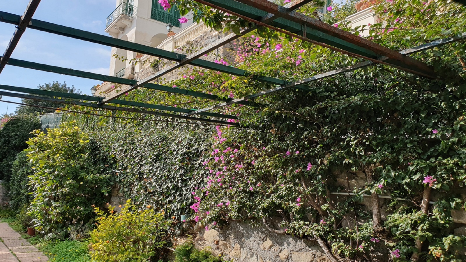 Giardino mediterraneo