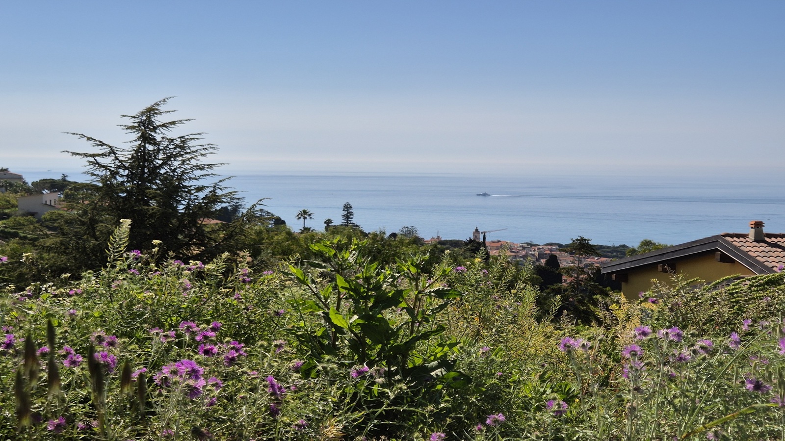Piena vista mare