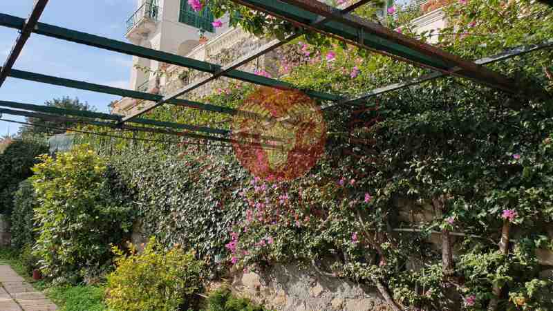 Giardino mediterraneo