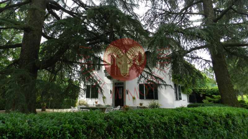 Villa circondata dal parco